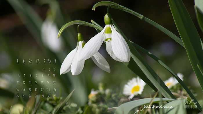 2013 márciusi naptár háttér